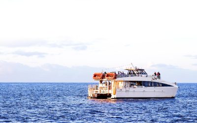 Patenty żeglarskie i motorowodne w świetle aktualnych przepisów państwowych